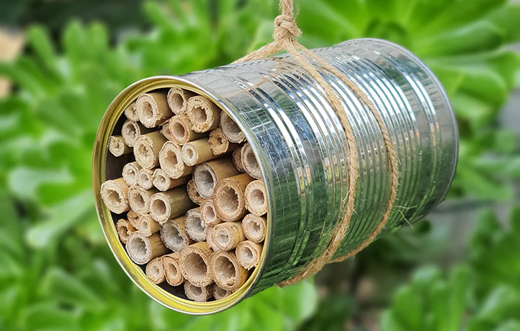Bee Hotel